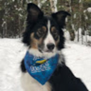 Meet your Posher, Wendy